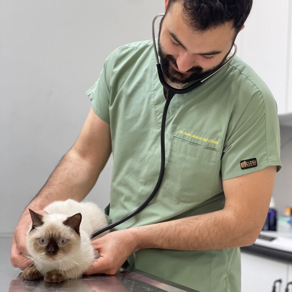 Veteriner Kliniği Beylikdüzü